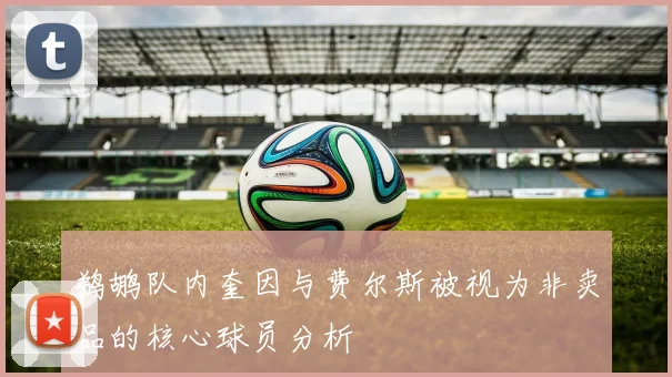 鹈鹕队内奎因与费尔斯被视为非卖品的核心球员分析