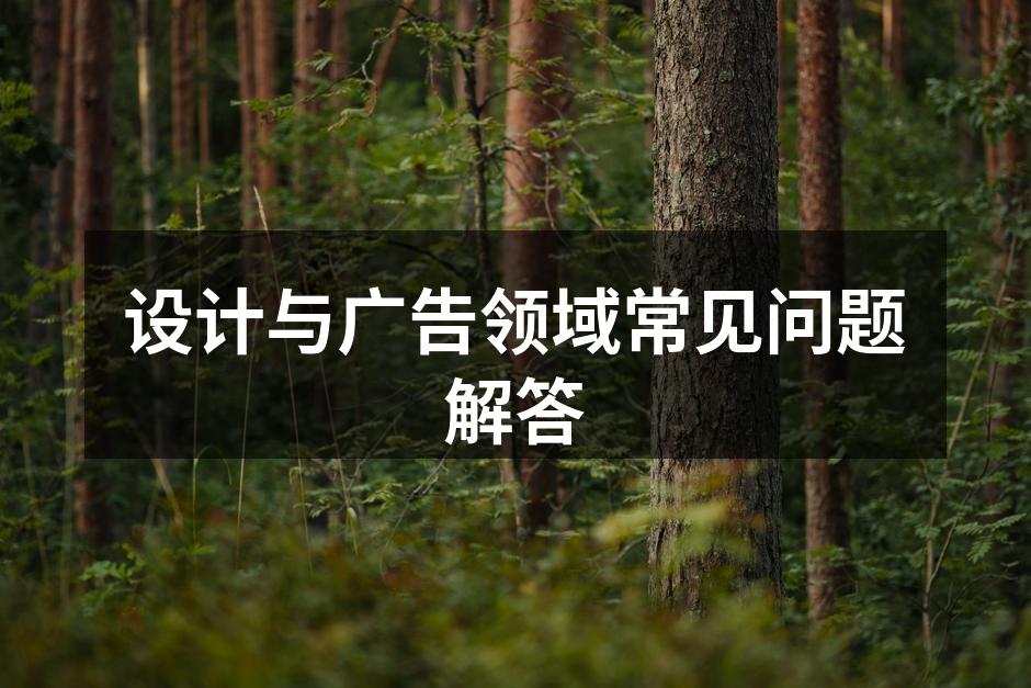 设计过程中的灵感碰撞